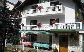Pension Raluca